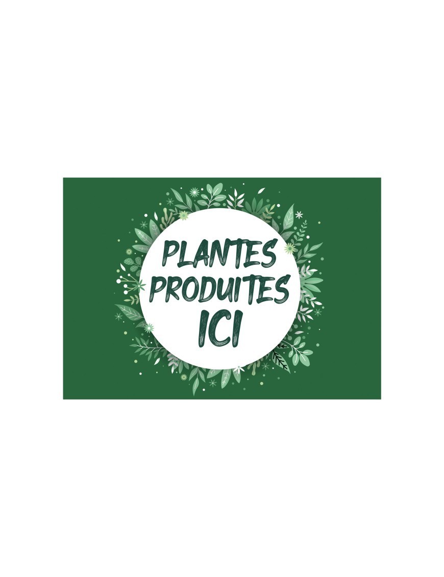 Affichette 'Plantes produites ici' A4