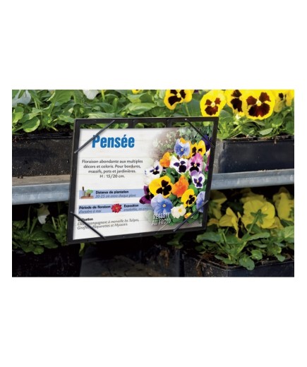 PORTE-AFFICHETTES MODÈLE 6