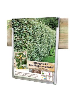 PORTE-AFFICHETTES MODÈLE 4