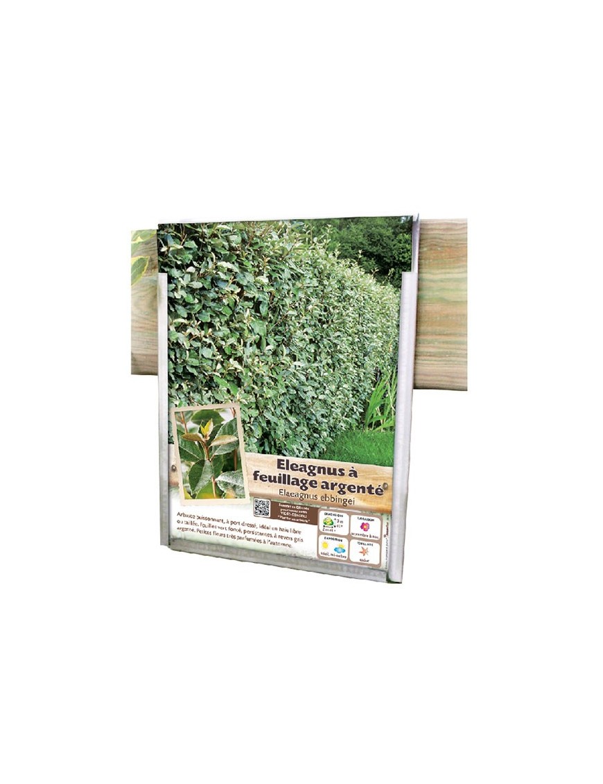 PORTE-AFFICHETTES MODÈLE 4