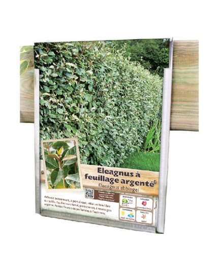 PORTE-AFFICHETTES MODÈLE 4