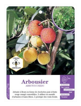ARBUTUS UNEDO voir Arbousier