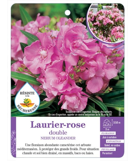 NERIUM OLEANDER voir Laurier-rose double (rose) (*)