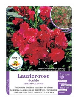 NERIUM OLEANDER voir Laurier-rose double (rouge) (*)