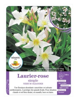 NERIUM OLEANDER voir Laurier-rose simple (*)