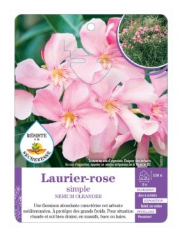 NERIUM OLEANDER voir Laurier-rose simple (rose tendre) (*)