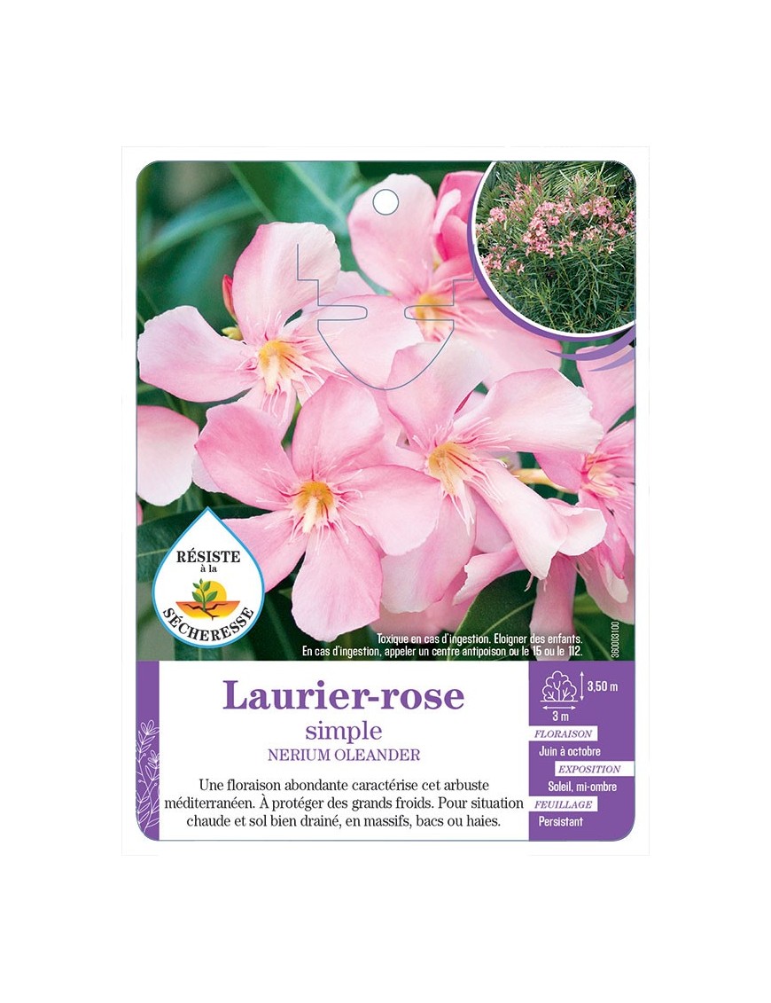 NERIUM OLEANDER voir Laurier-rose simple (rose tendre) (*)