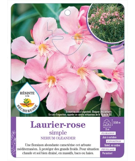 NERIUM OLEANDER voir Laurier-rose simple (rose tendre) (*)