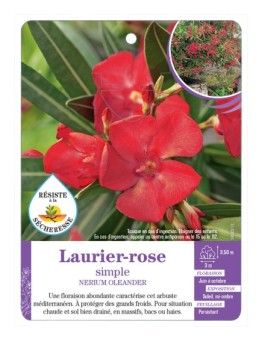 NERIUM OLEANDER voir Laurier-rose simple (rouge)