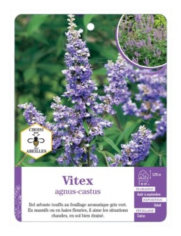 VITEX AGNUS-CASTUS