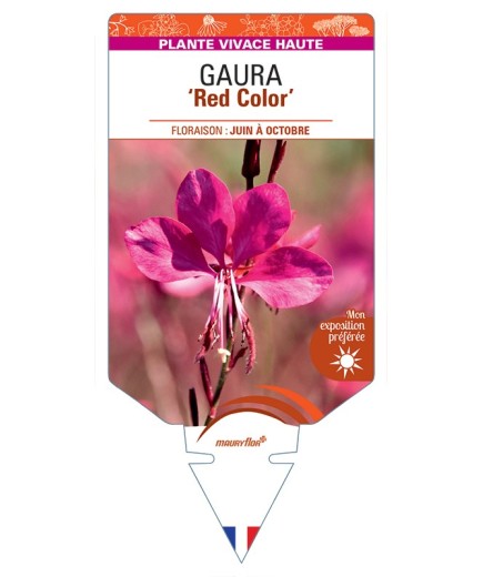 GAURA Red Color
