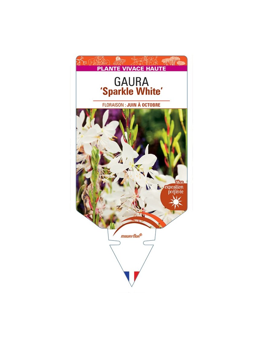 GAURA Sparkle White