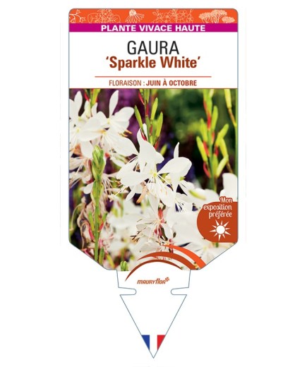 GAURA Sparkle White