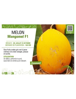 MELON MANGOMEL F1
