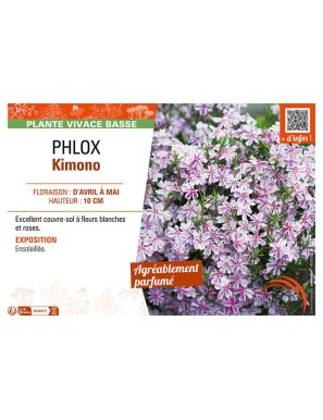 PHLOX KIMONO