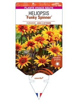 HELIOPSIS Funky Spinner