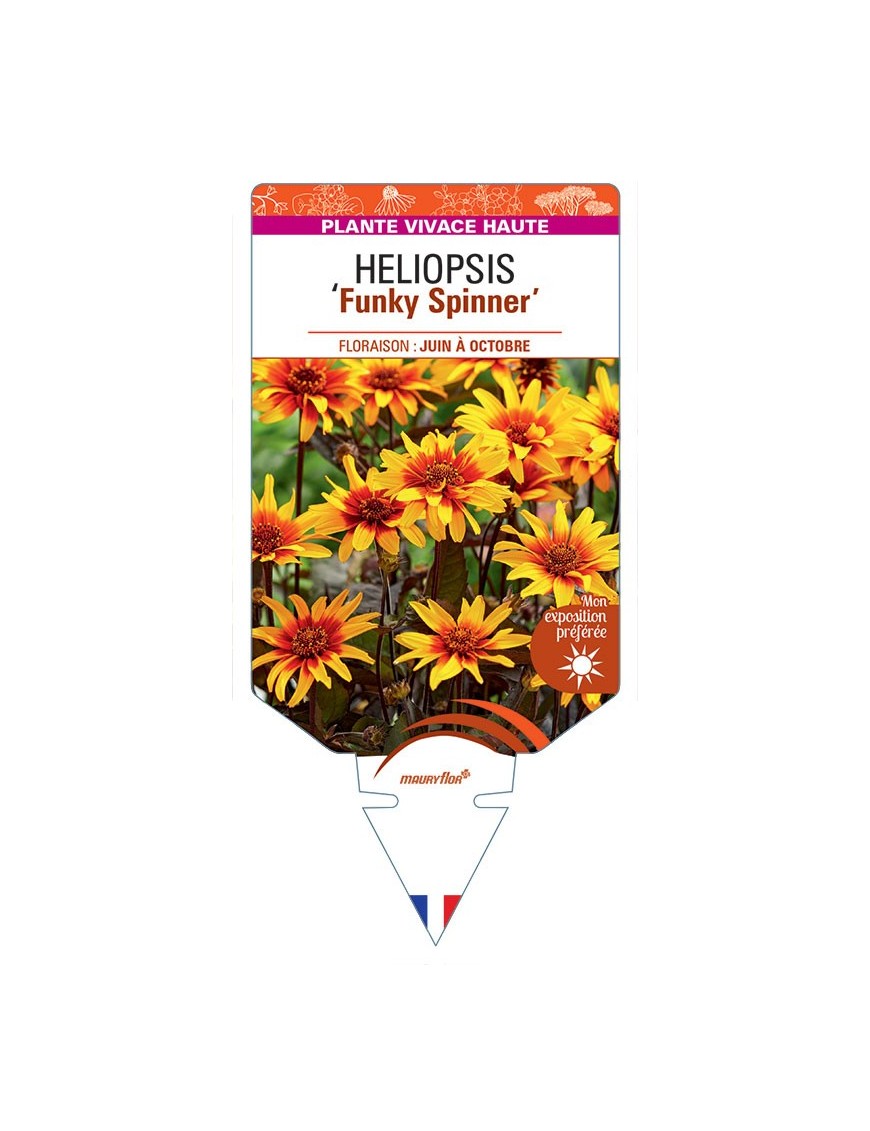 HELIOPSIS Funky Spinner