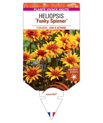 HELIOPSIS Funky Spinner