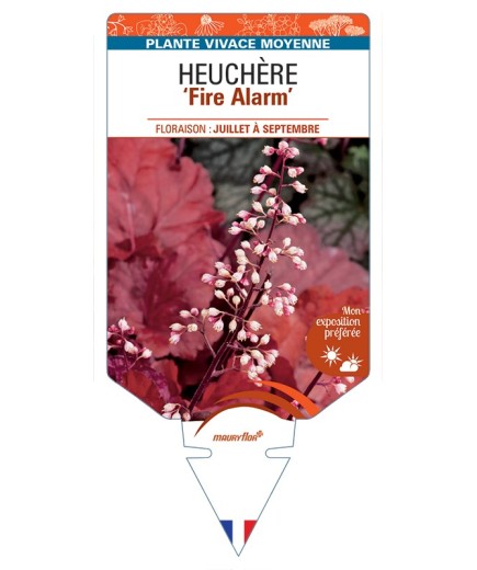 HEUCHERA Fire Alarm