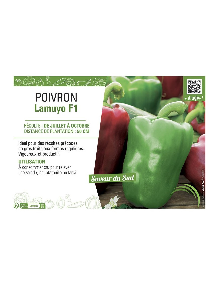 POIVRON LAMUYO F1
