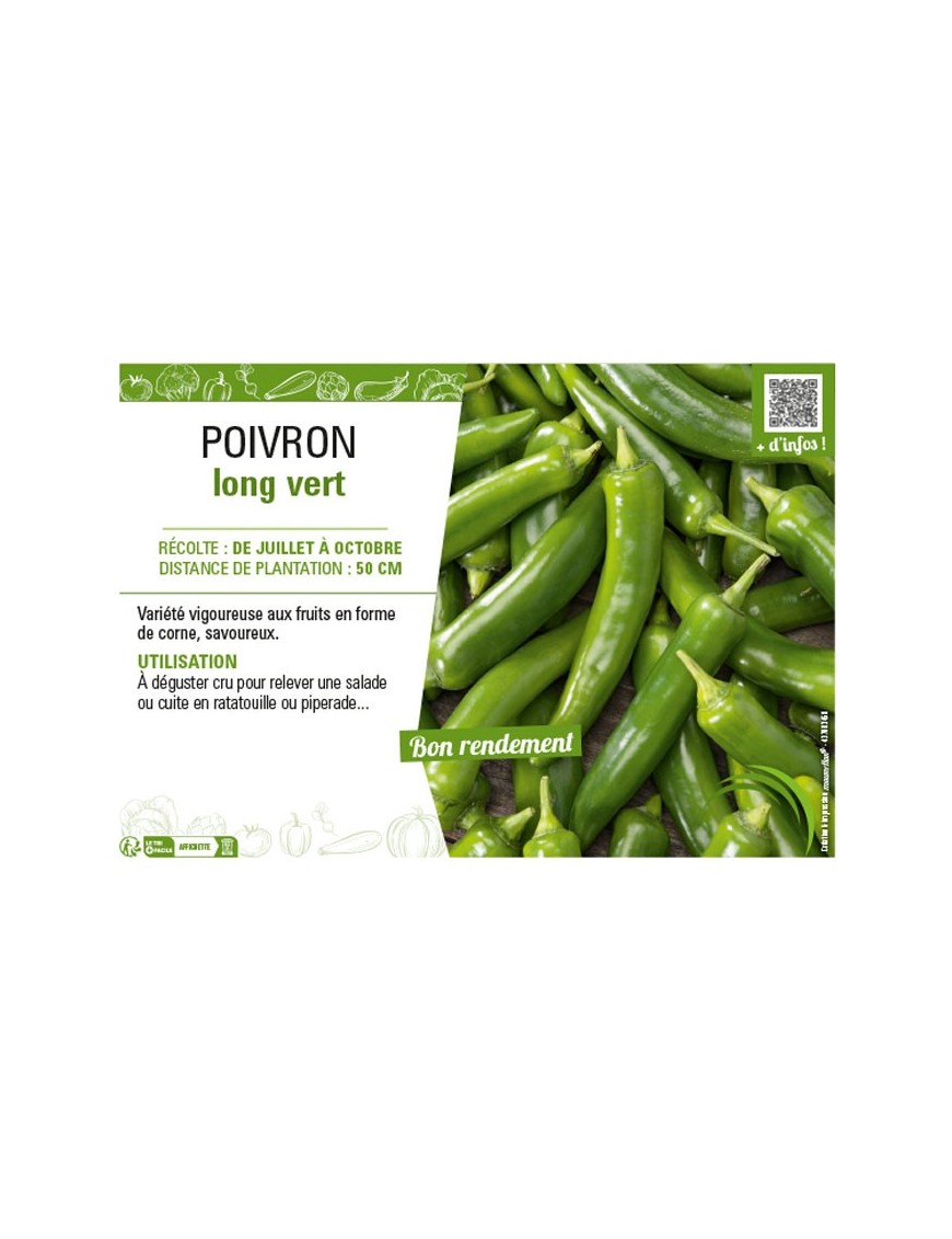 POIVRON LONG VERT