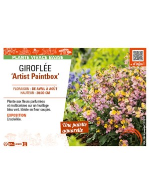 GIROFLÉE ARTIST PAINTBOX
