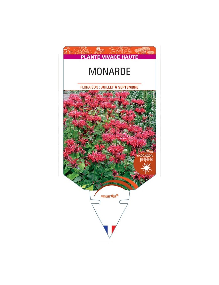 MONARDE (rouge)