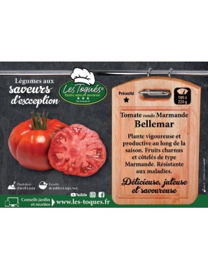 Tomate ronde Marmande Bellemar