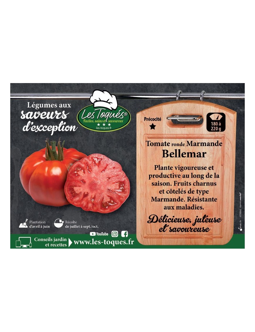 Tomate ronde Marmande Bellemar