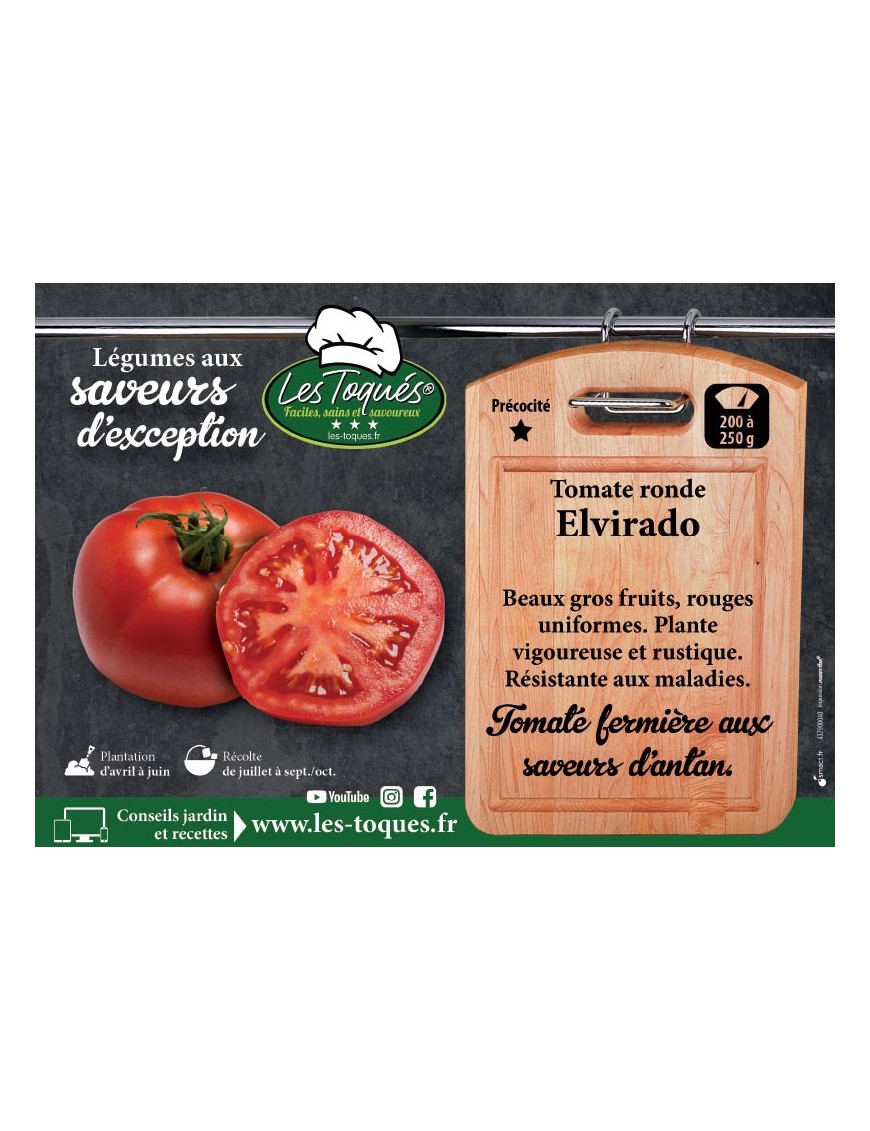 Tomate ronde Elvirado