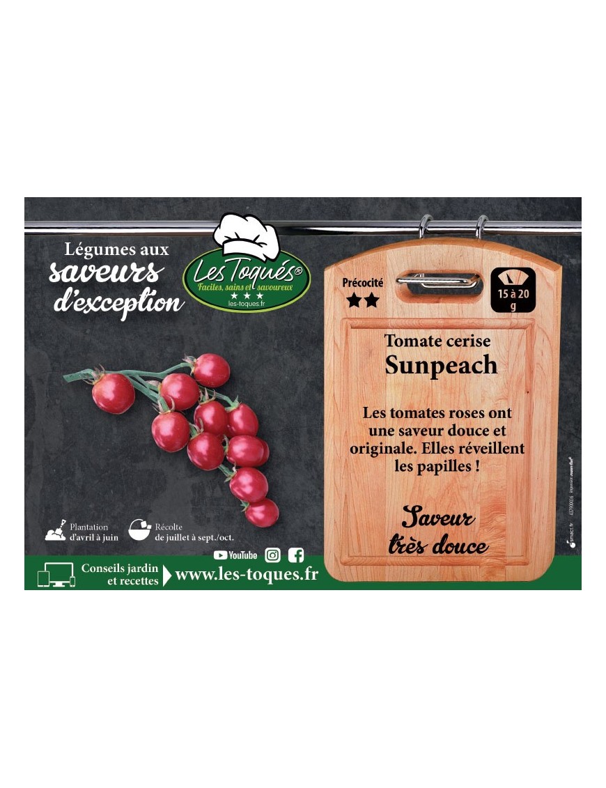 Tomate cerise Sunpeach