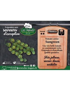 Tomate cerise Sungreen
