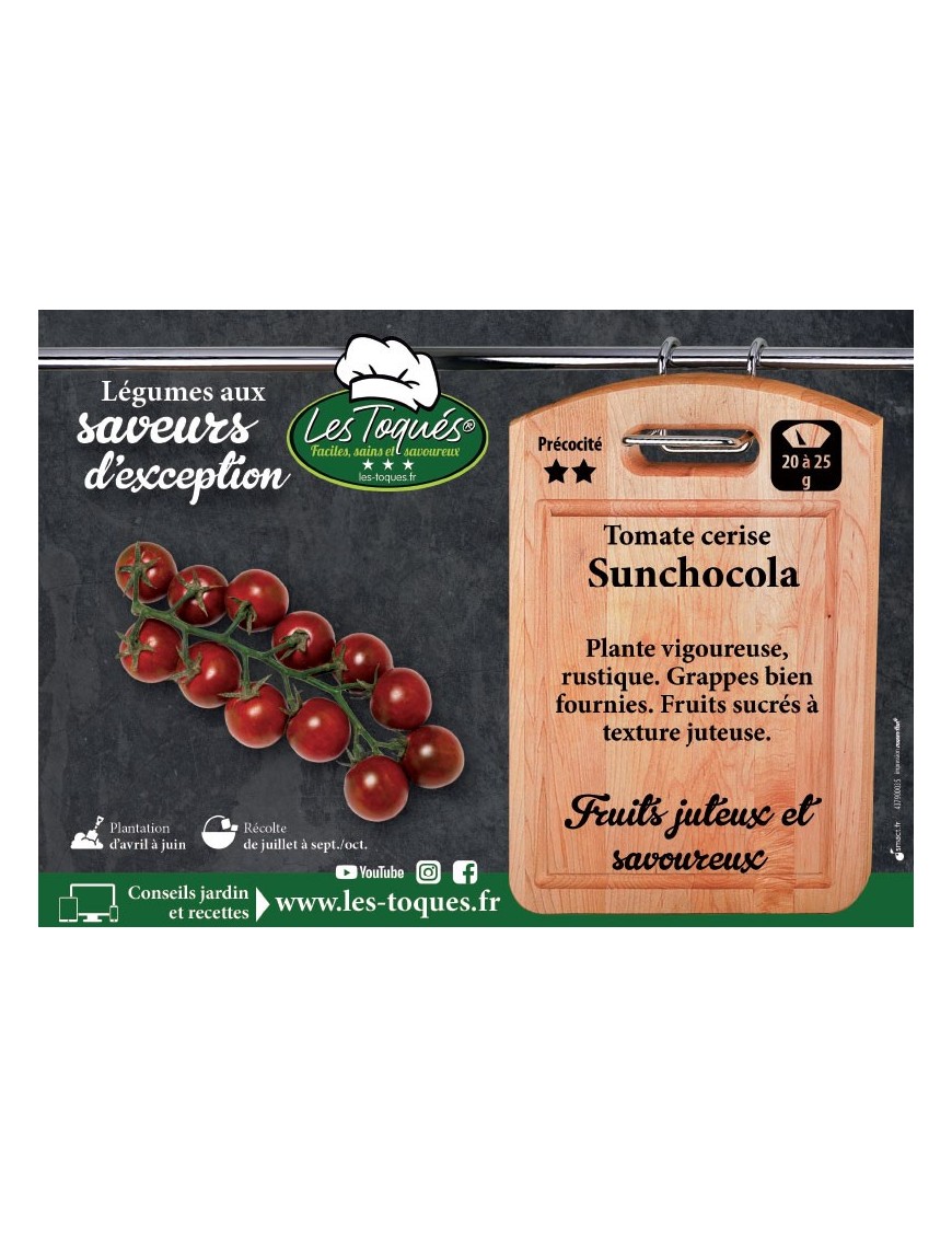 Tomate cerise Sunchocola