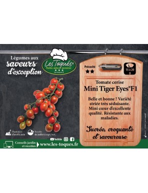 Tomate cerise Mini Tiger Eyes®F1