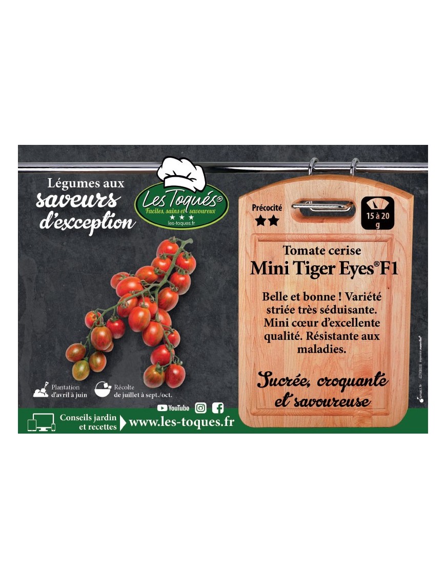 Tomate cerise Mini Tiger Eyes®F1