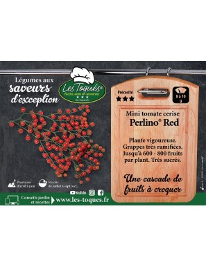 Tomate cerise mini Perlino® Red
