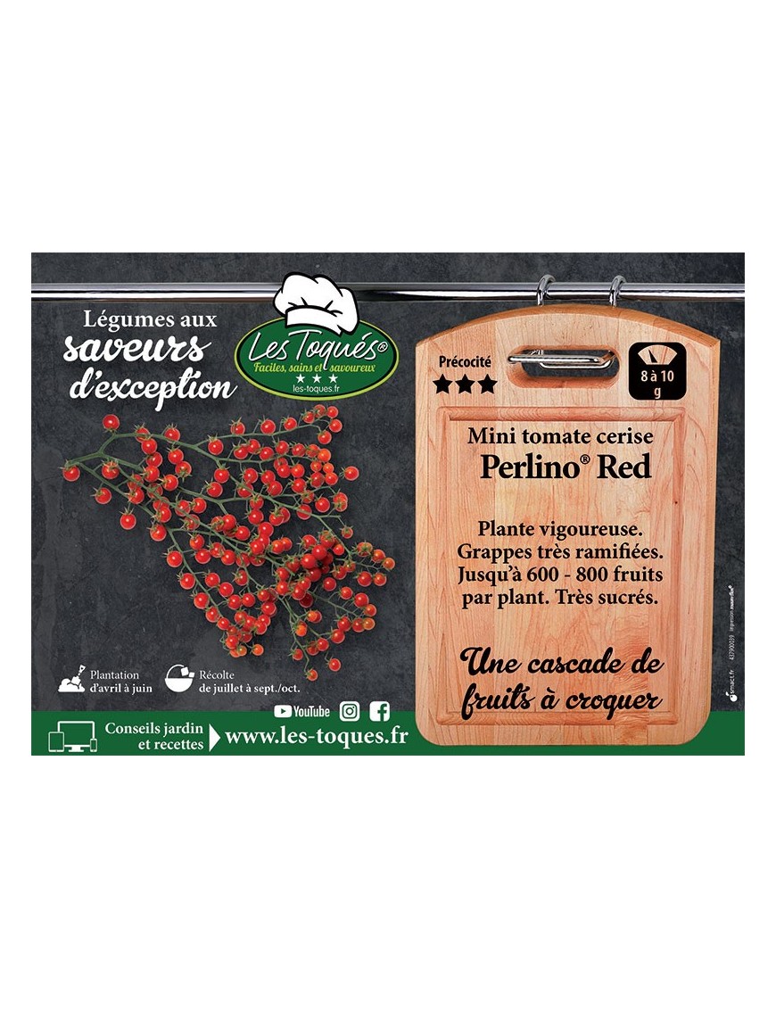 Tomate cerise mini Perlino® Red