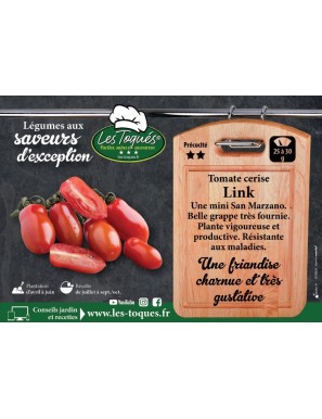 Tomate cerise Link