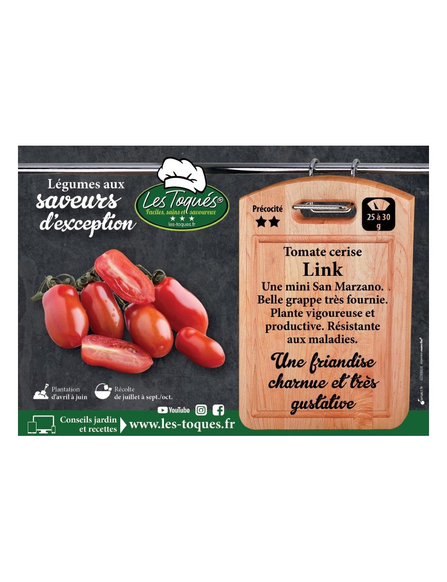 Tomate cerise Link