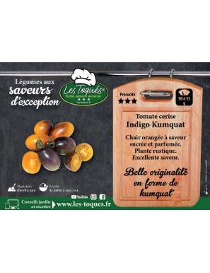 Tomate cerise Indigo Kumquat