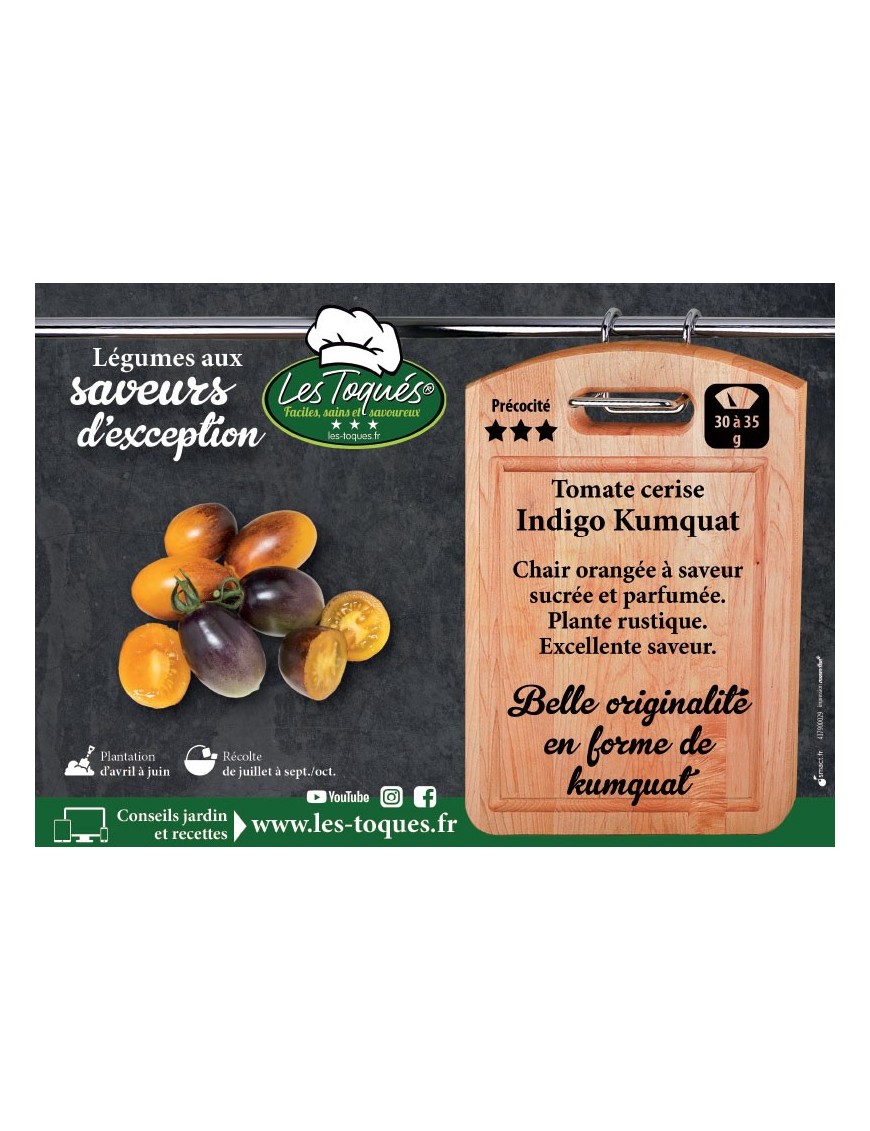 Tomate cerise Indigo Kumquat