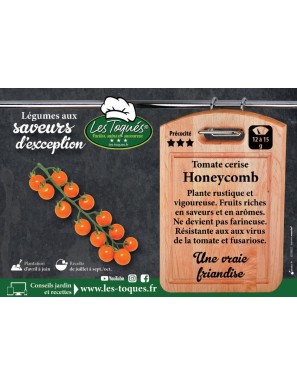 Tomate cerise Honeycomb