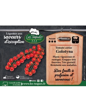 Tomate cerise Golotyna