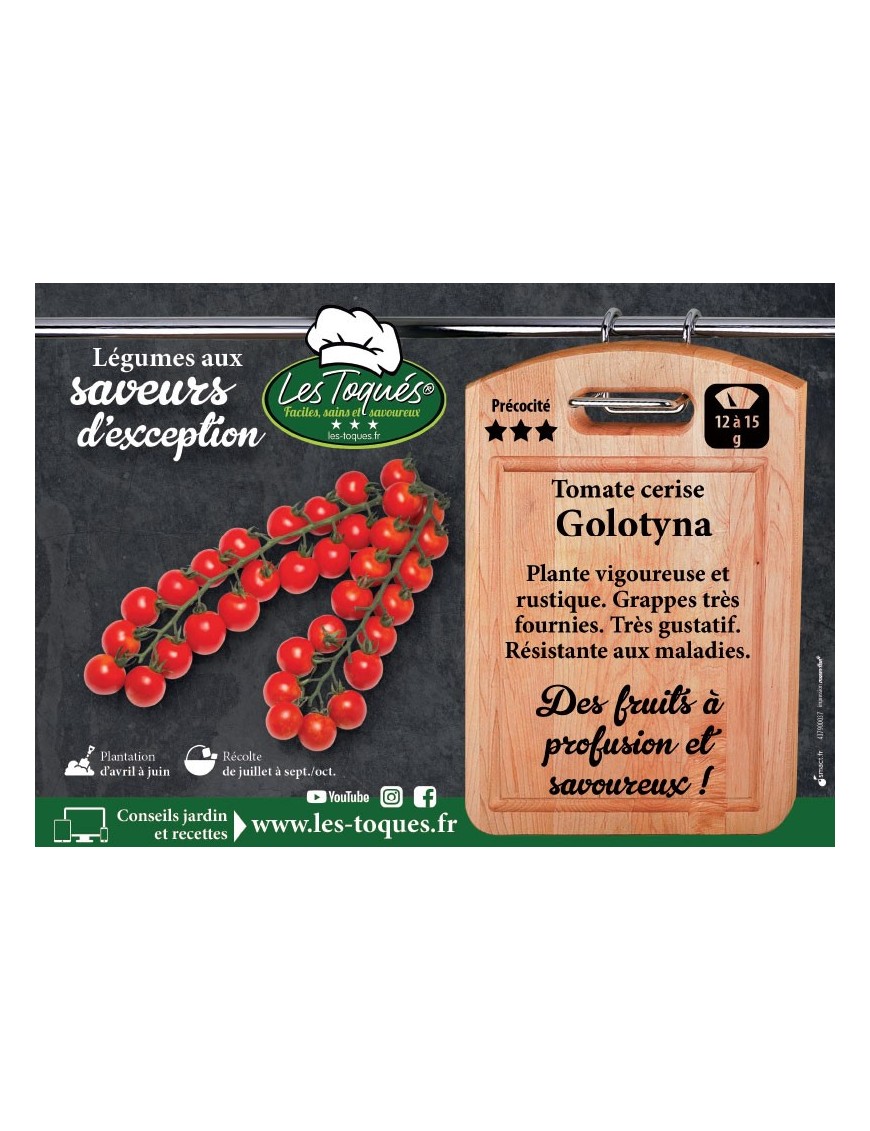 Tomate cerise Golotyna