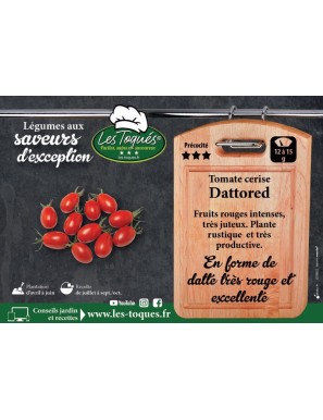 Tomate cerise Dattored