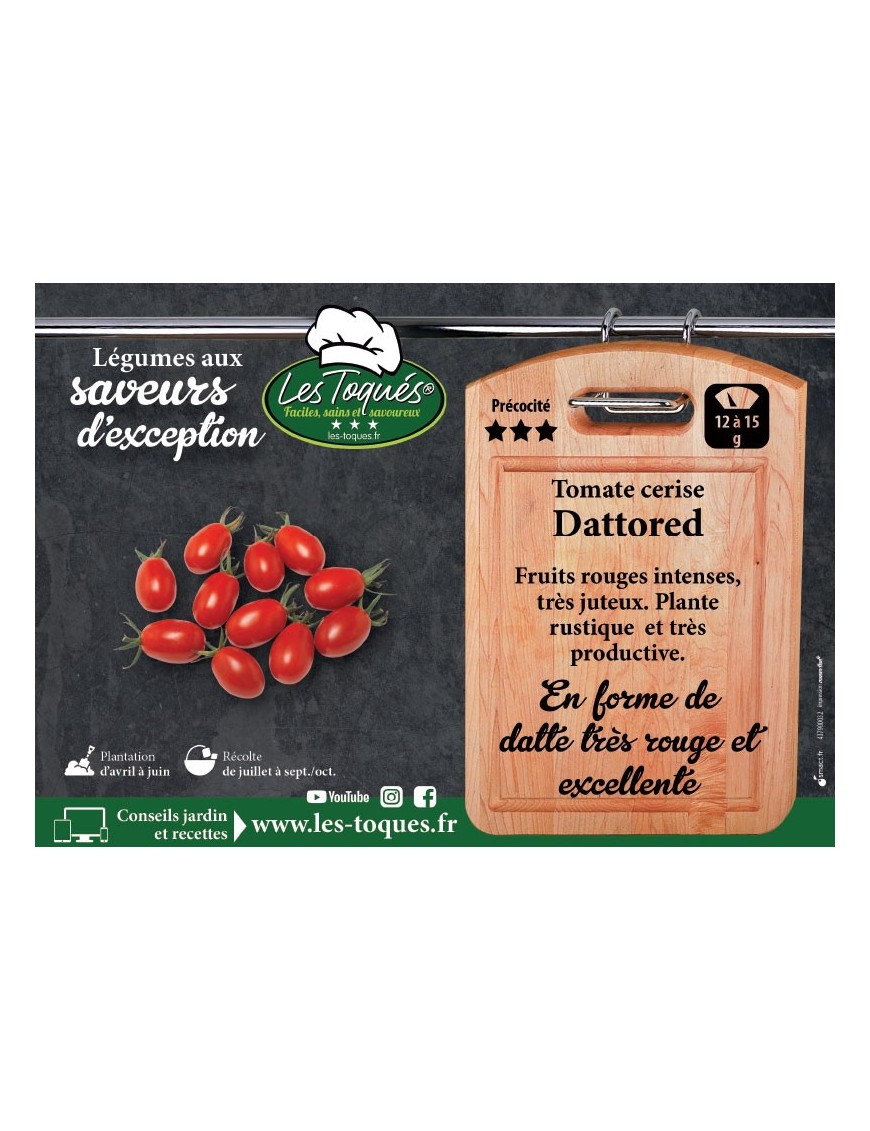 Tomate cerise Dattored