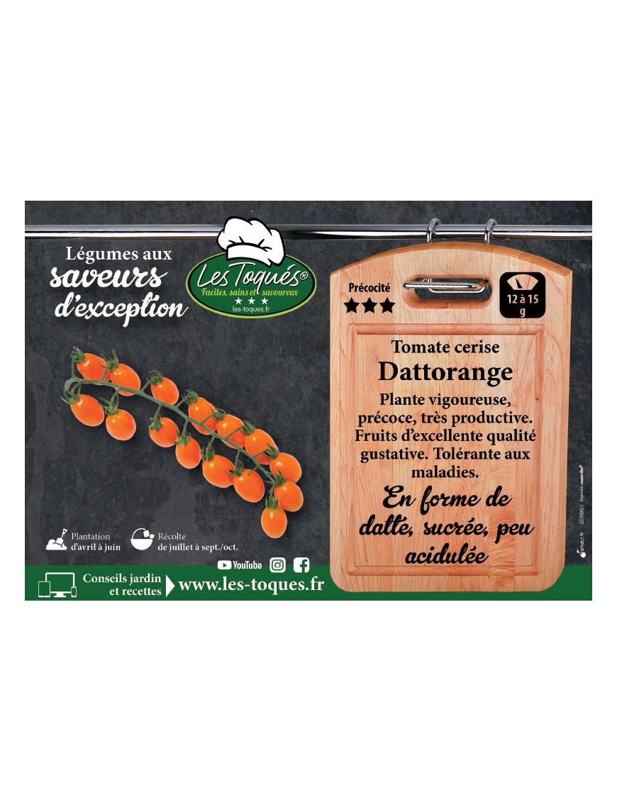 Tomate cerise Dattorange