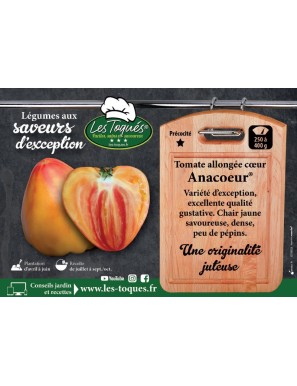 Tomate allongée cœur Anacoeur®