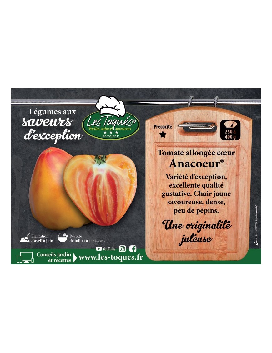 Tomate allongée cœur Anacoeur®