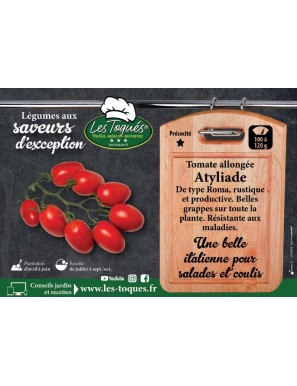 Tomate allongée Atyliade